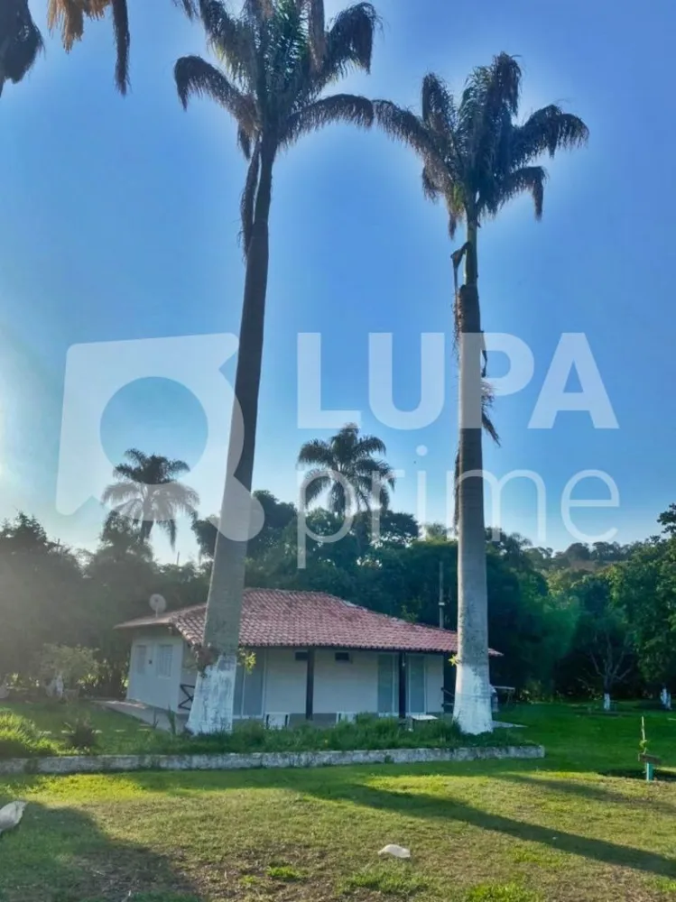 Chácara, 6 quartos, 10000 m² - Foto 7