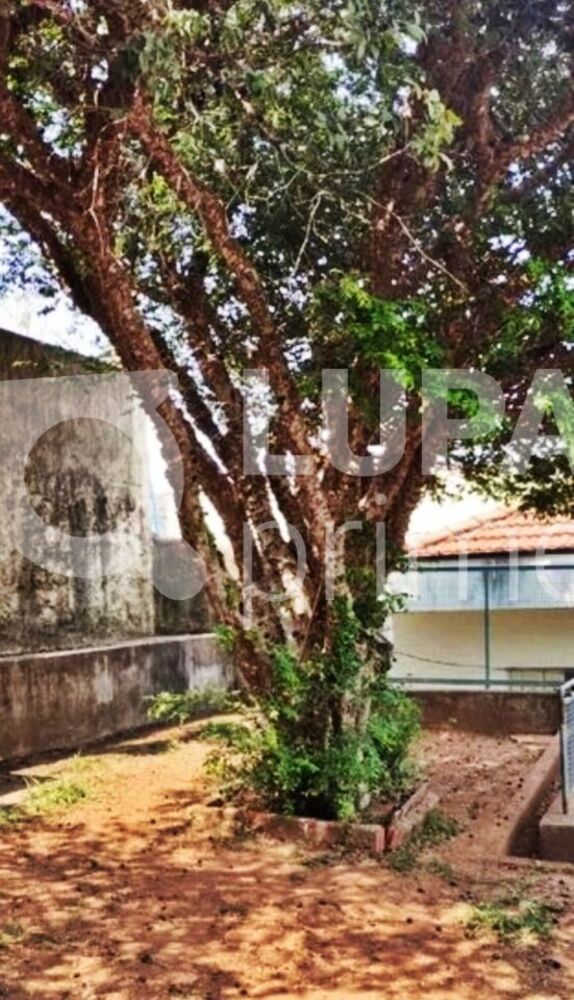 Casa, 3 quartos, 150 m² - Foto 1