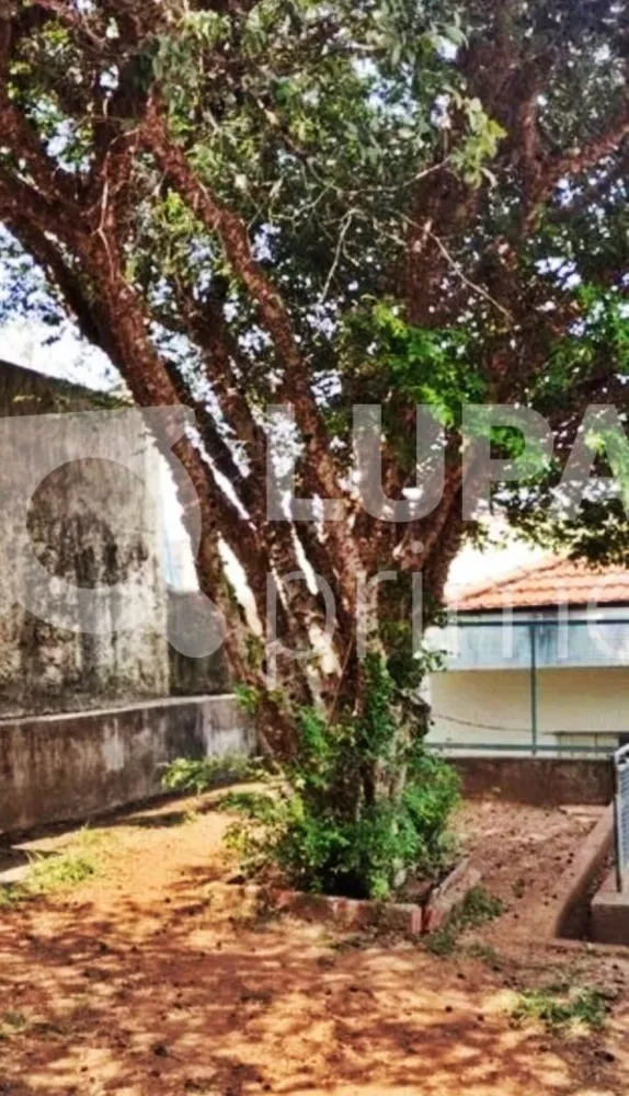Casa, 3 quartos, 150 m² - Foto 14