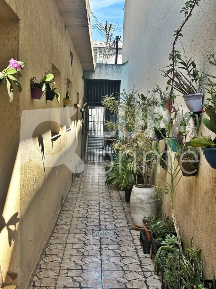 Casa, 5 quartos, 203 m² - Foto 10