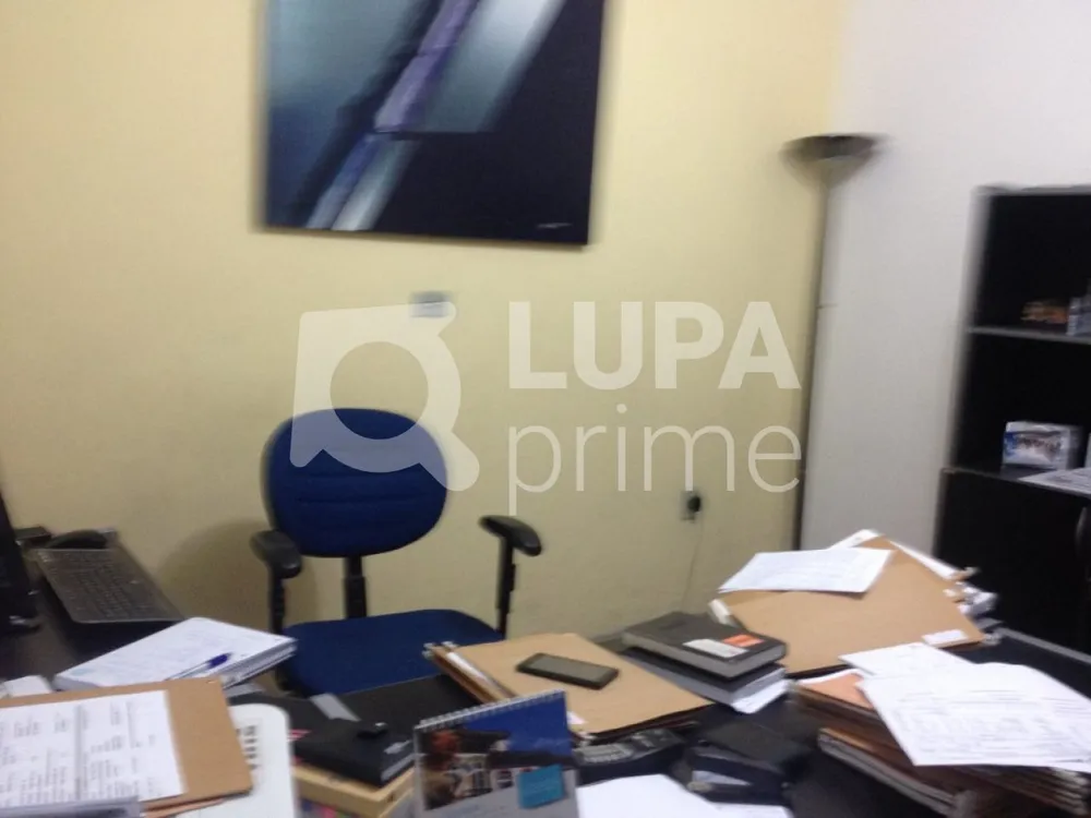 Casa, 4 quartos, 300 m² - Foto 12