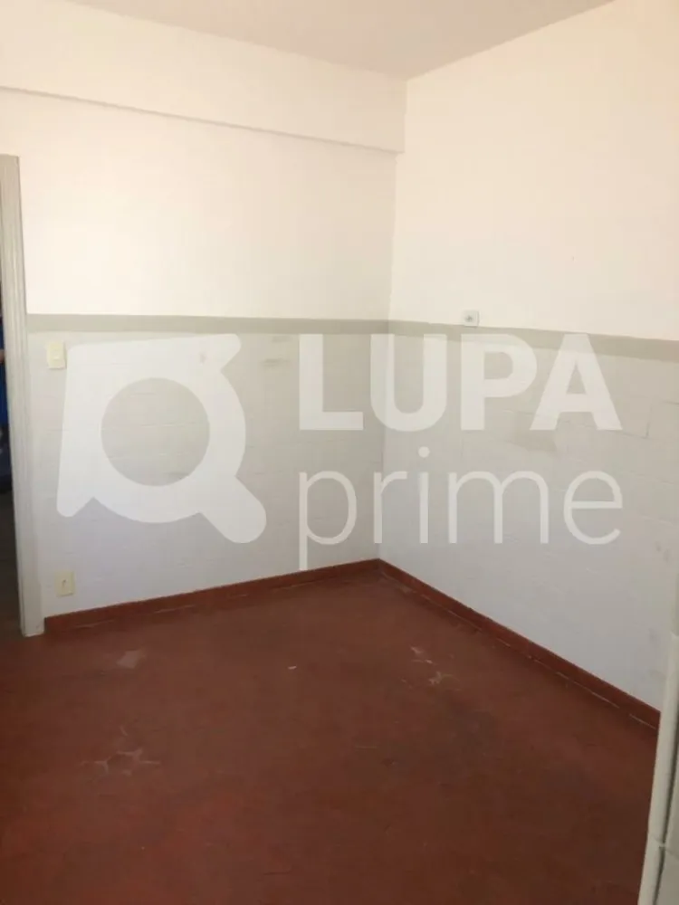 Casa, 5 quartos, 250 m² - Foto 12