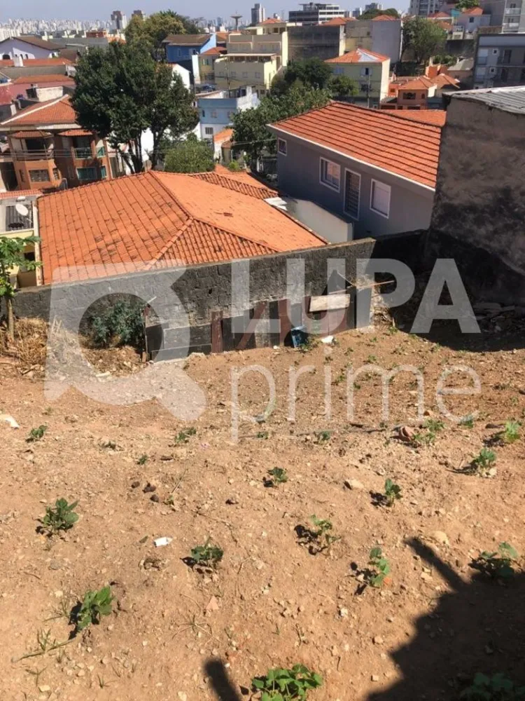 Casa, 5 quartos, 250 m² - Foto 5