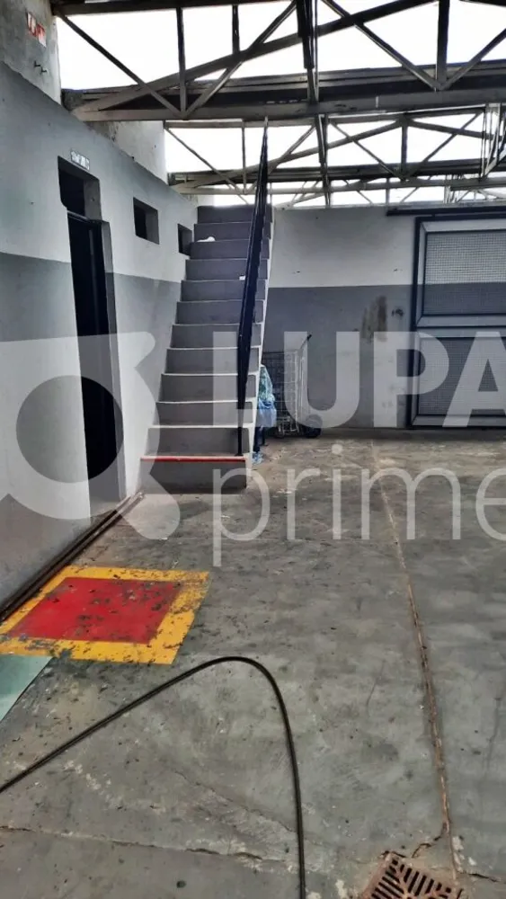 Depósito-Galpão, 560 m² - Foto 3