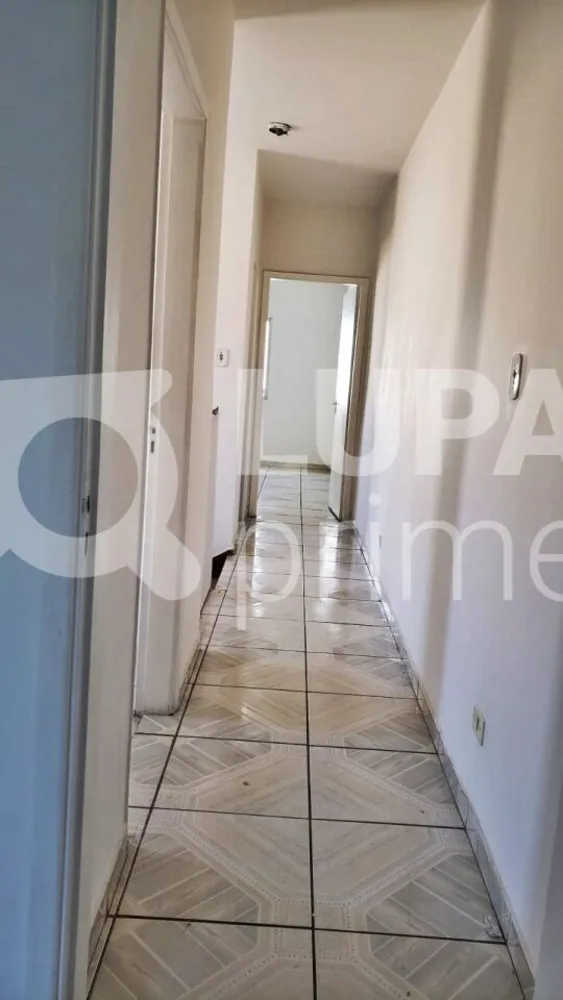 Casa, 3 quartos, 135 m² - Foto 14