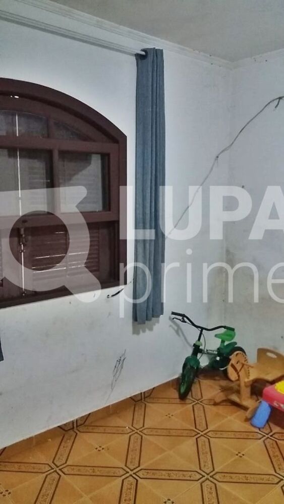 Chácara, 2 quartos, 1245 m² - Foto 2