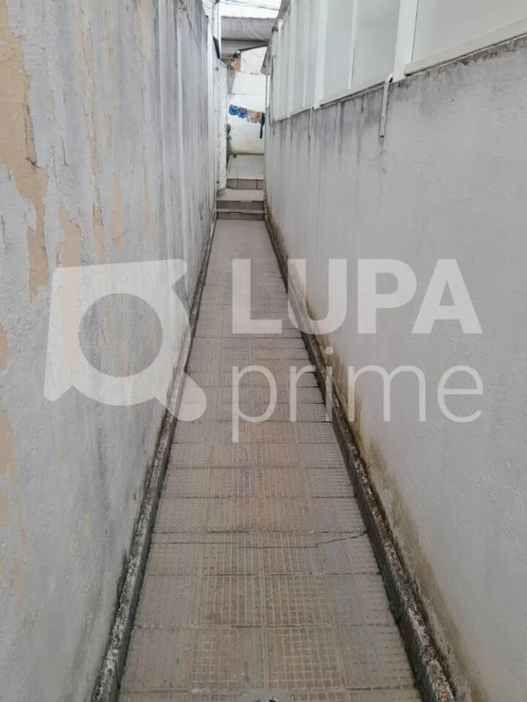 Casa, 3 quartos, 300 m² - Foto 12