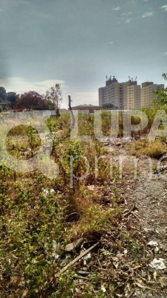 Terreno, 7700 m² - Foto 6