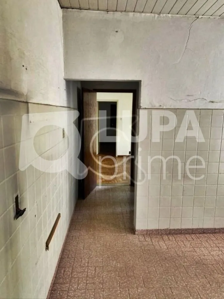 Casa, 4 quartos, 195 m² - Foto 6