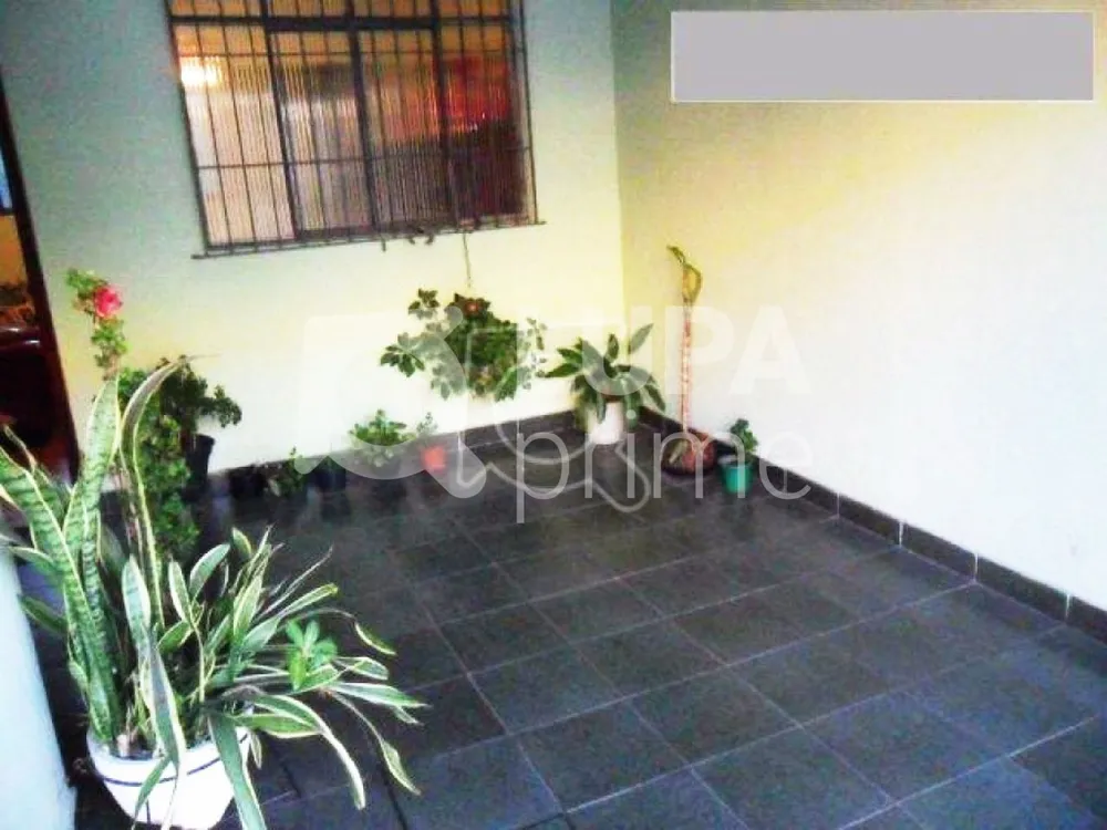 Casa, 4 quartos, 104 m² - Foto 1