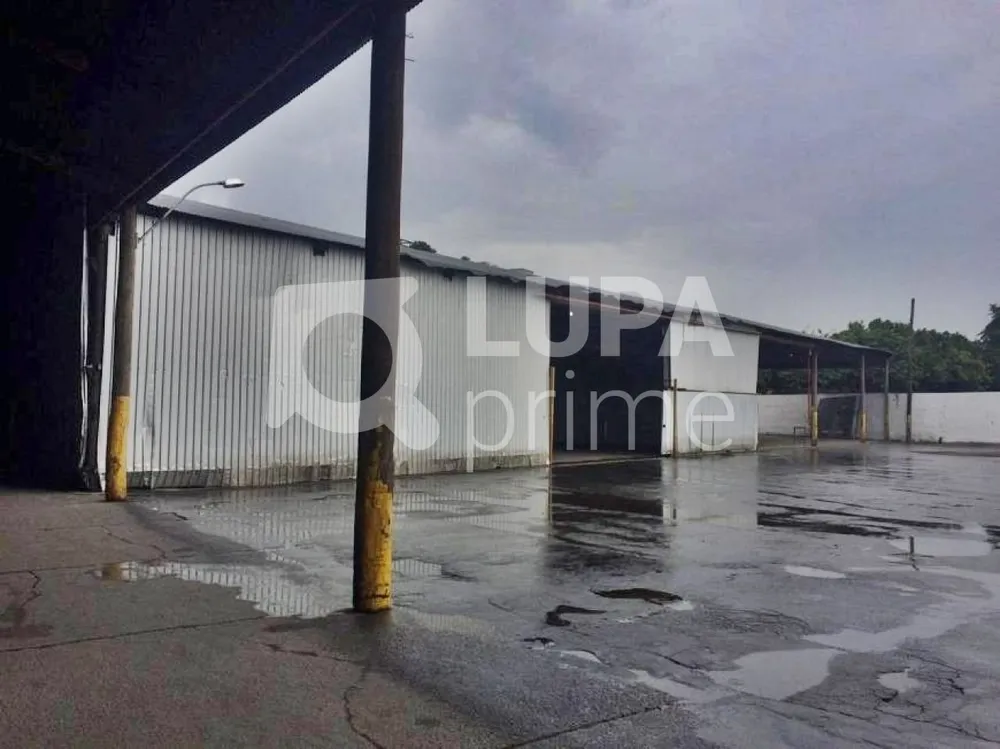 Depósito-Galpão, 3300 m² - Foto 3