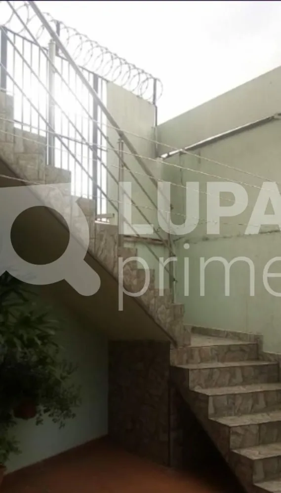 Casa, 3 quartos, 120 m² - Foto 6