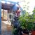 Casa, 3 quartos, 77 m² - Foto 4