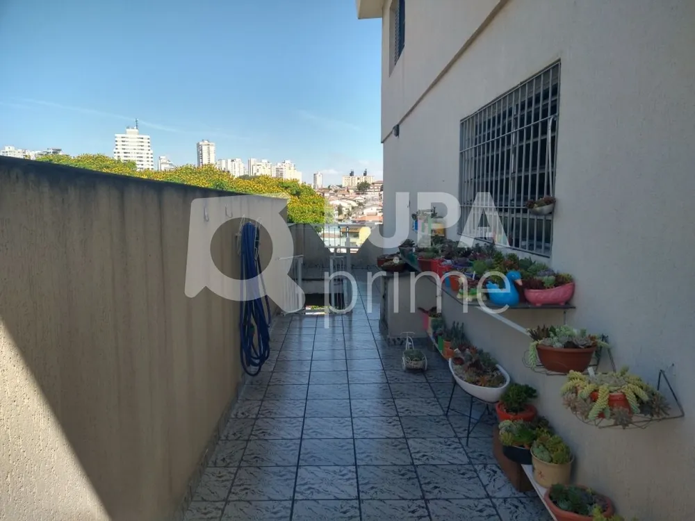 Casa, 3 quartos, 338 m² - Foto 7