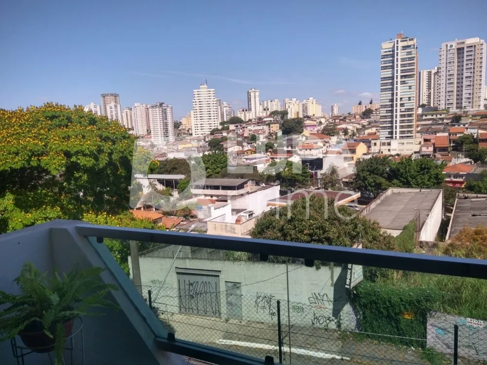 Casa, 3 quartos, 338 m² - Foto 14