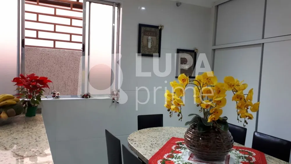 Casa, 8 quartos, 360 m² - Foto 4