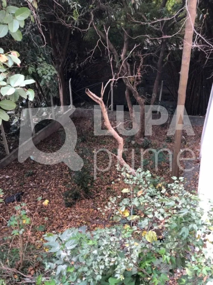 Terreno, 520 m² - Foto 12