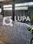 Casa, 4 quartos, 130 m² - Foto 12