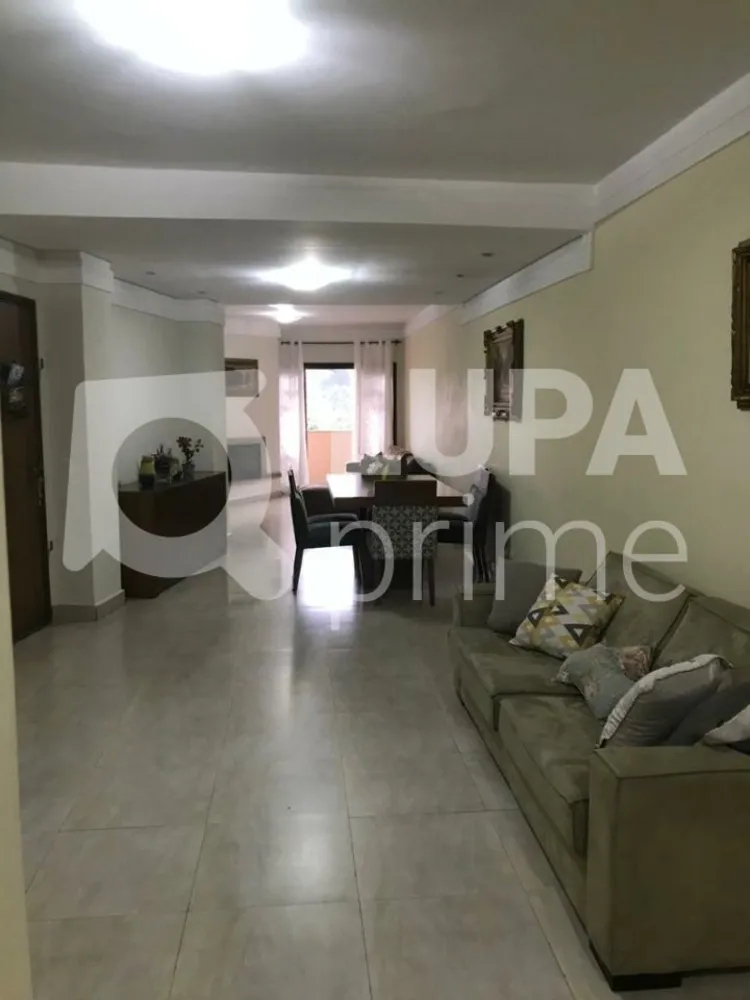Casa, 3 quartos, 330 m² - Foto 3