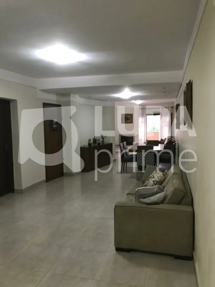 Casa, 3 quartos, 330 m² - Foto 7