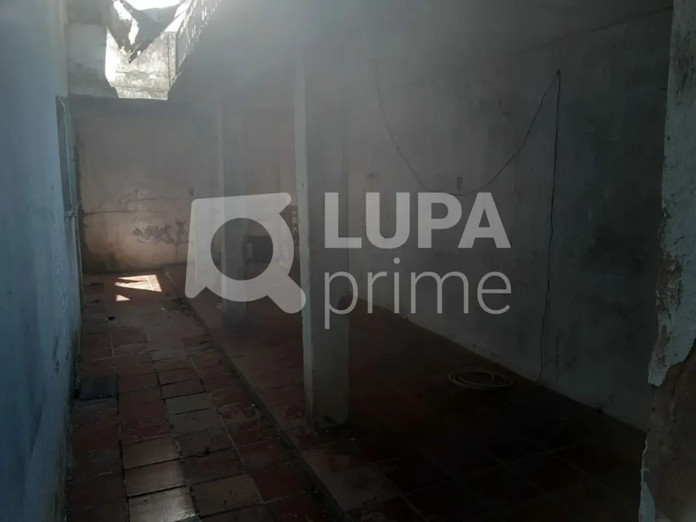 Casa, 3 quartos, 501 m² - Foto 3