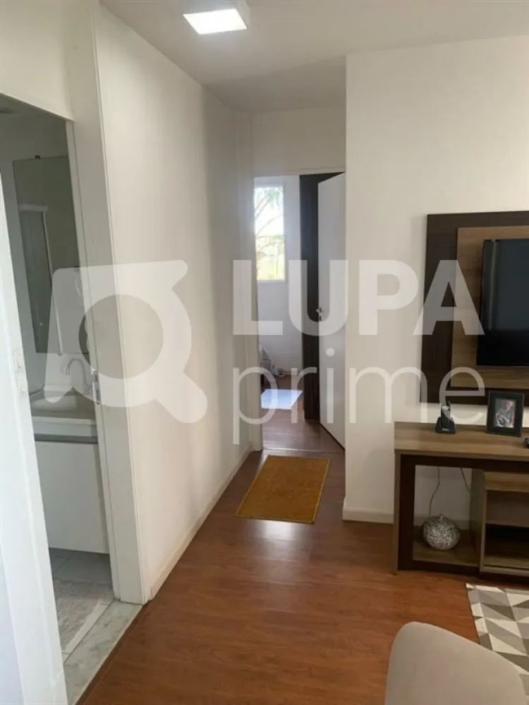 Apartamento, 2 quartos, 62 m² - Foto 13