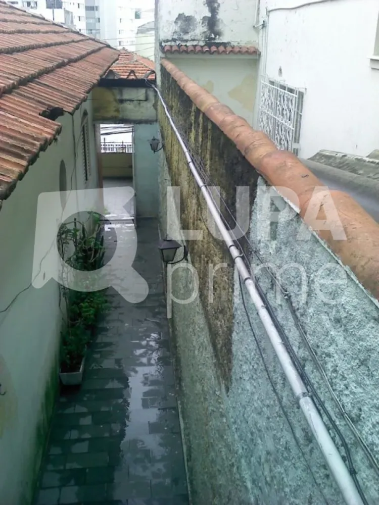 Casa, 4 quartos, 360 m² - Foto 5