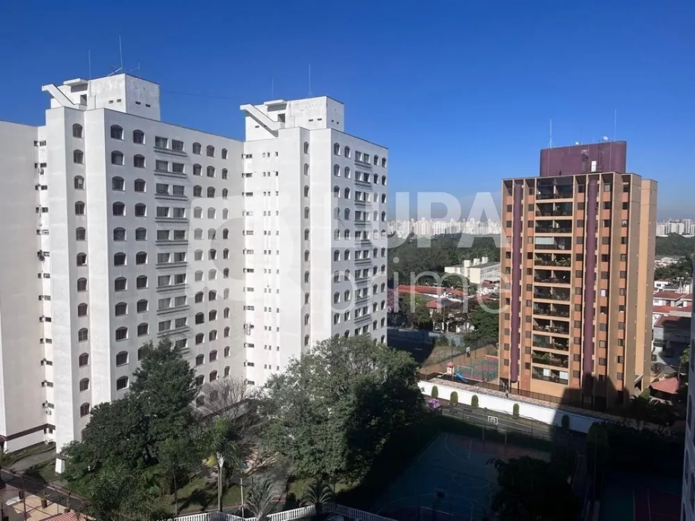 Apartamento, 3 quartos, 80 m² - Foto 6