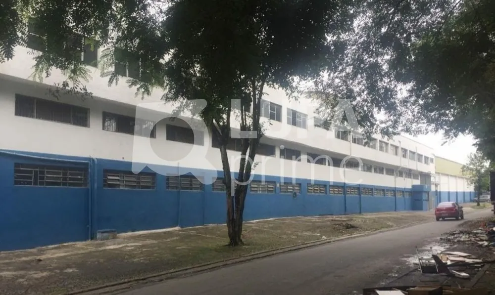 Depósito-Galpão, 5800 m² - Foto 2