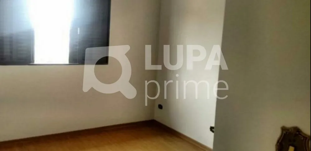 Casa, 3 quartos, 289 m² - Foto 15