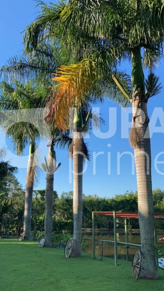 Casa, 4 quartos, 520 m² - Foto 12