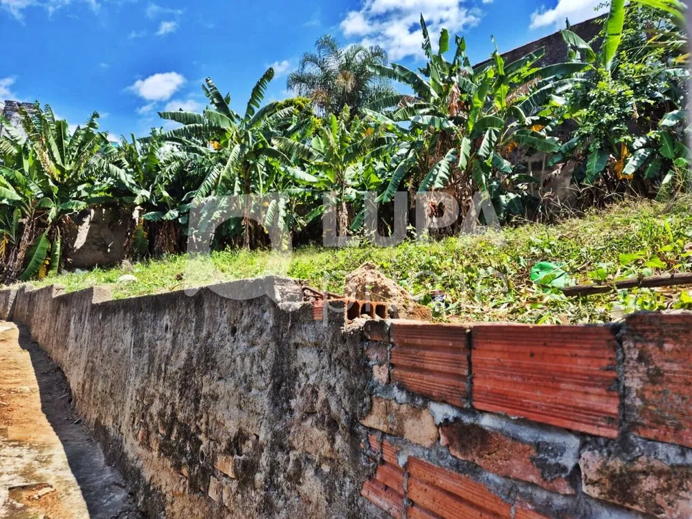 Casa, 5 quartos, 280 m² - Foto 18
