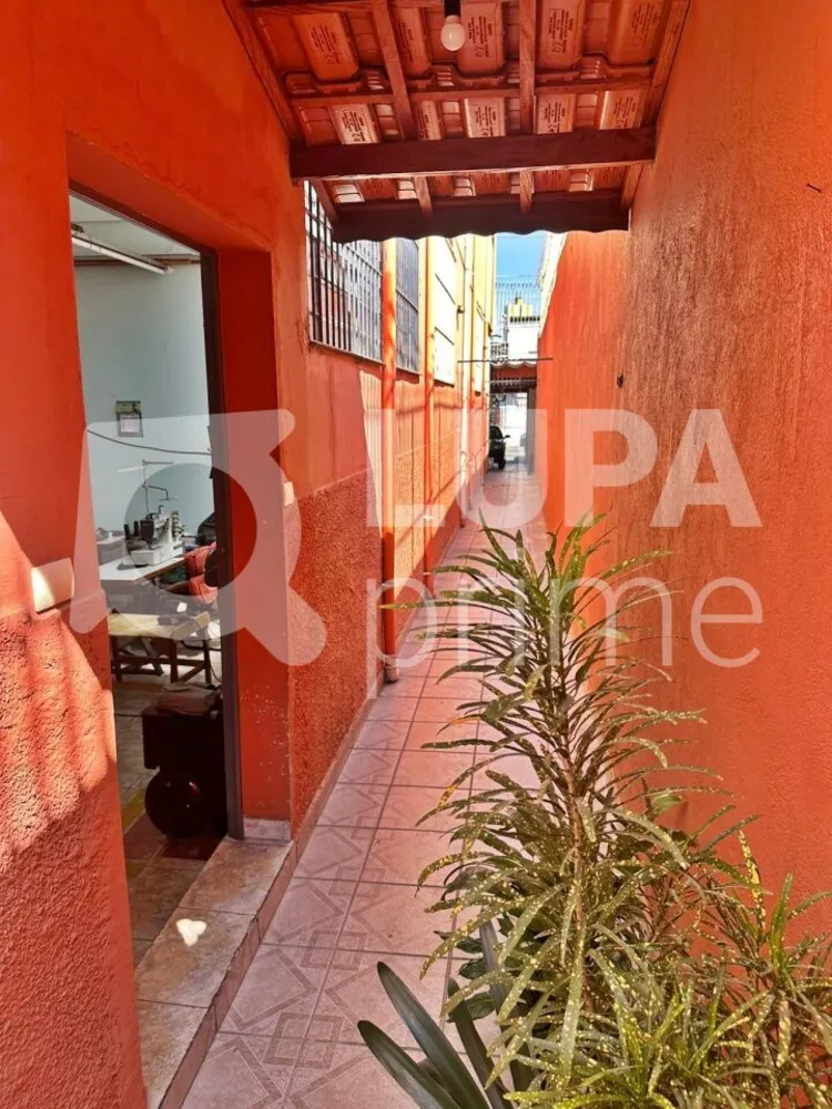 Casa, 3 quartos, 407 m² - Foto 23