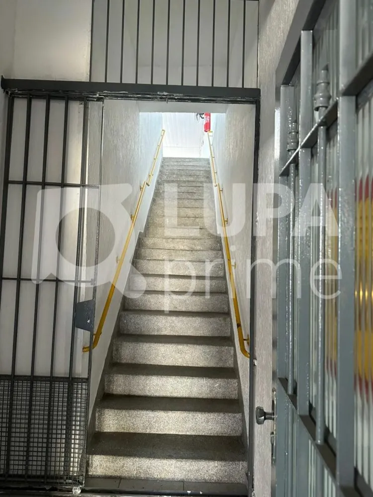 Casa, 3 quartos, 407 m² - Foto 13