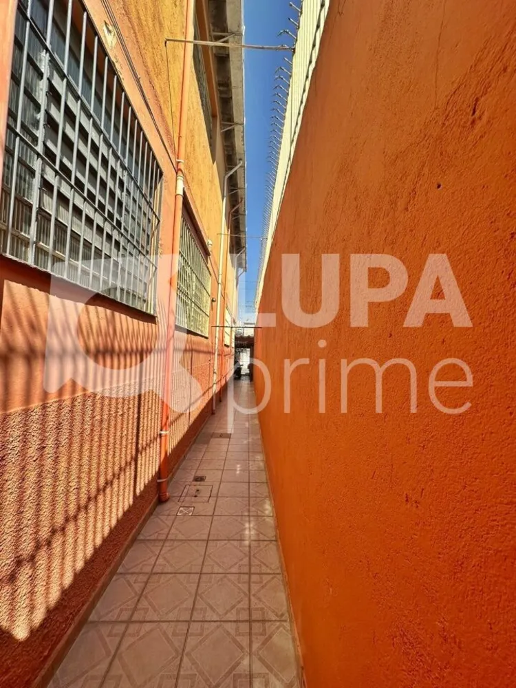 Casa, 3 quartos, 407 m² - Foto 22