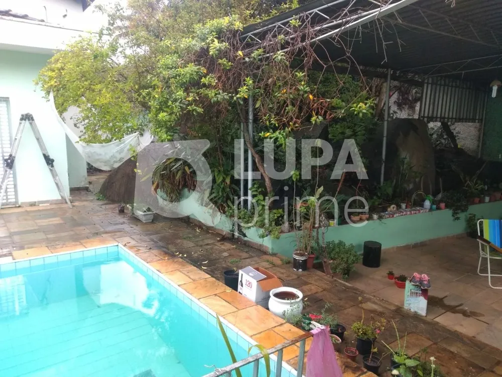 Casa, 3 quartos, 600 m² - Foto 8
