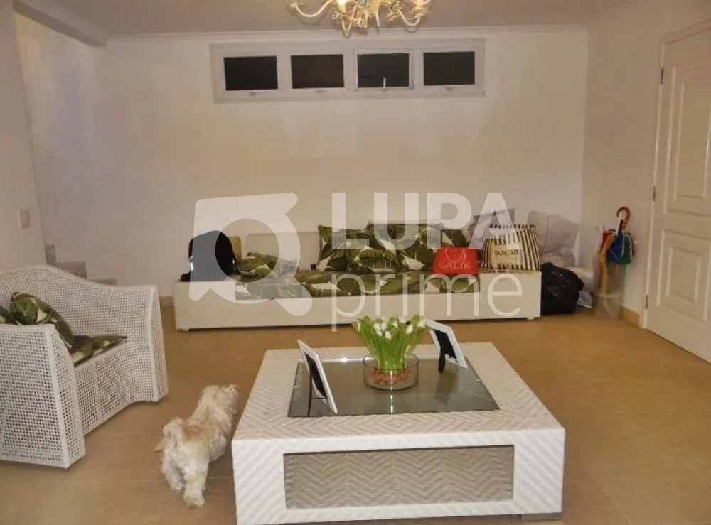 Casa, 4 quartos, 650 m² - Foto 7