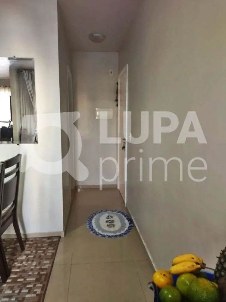 Apartamento, 3 quartos, 55 m² - Foto 4