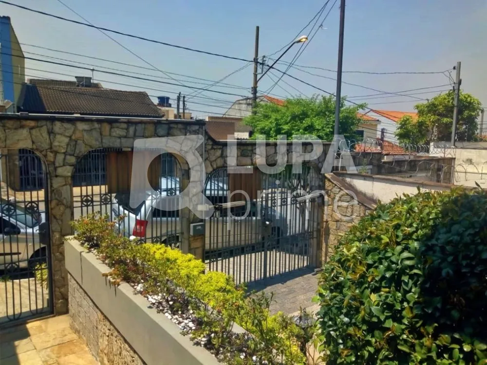 Casa, 4 quartos, 270 m² - Foto 4