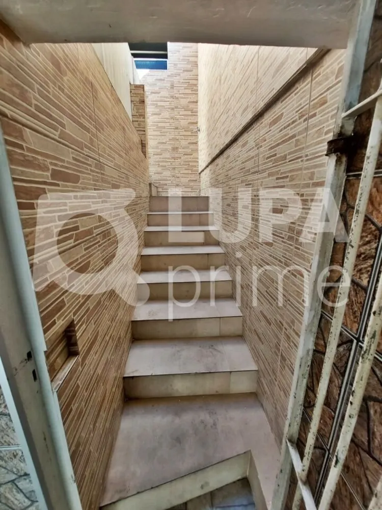 Casa, 3 quartos, 269 m² - Foto 8
