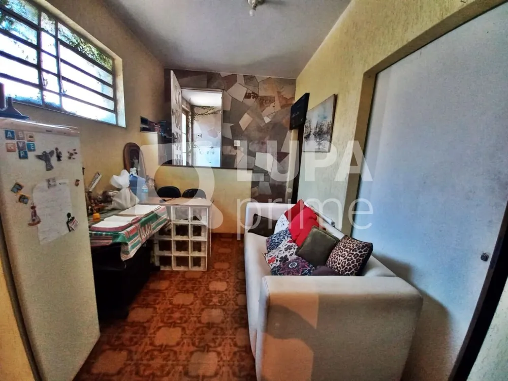 Casa, 4 quartos, 350 m² - Foto 10