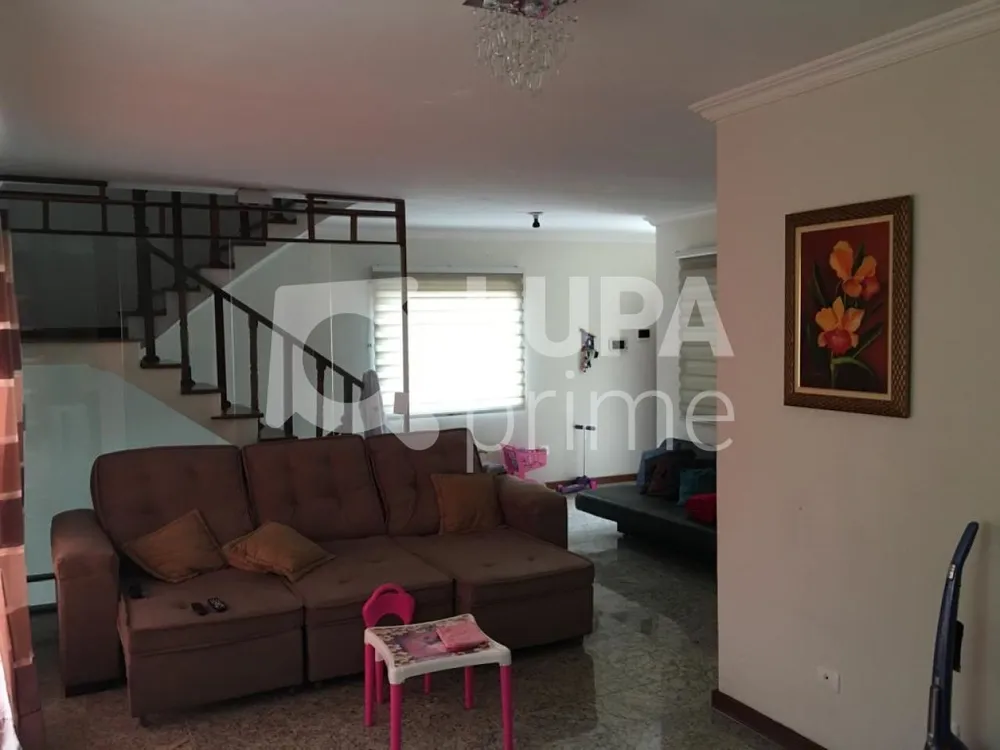 Casa, 3 quartos, 385 m² - Foto 7