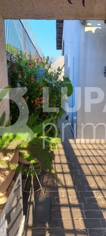Casa, 3 quartos, 217 m² - Foto 10