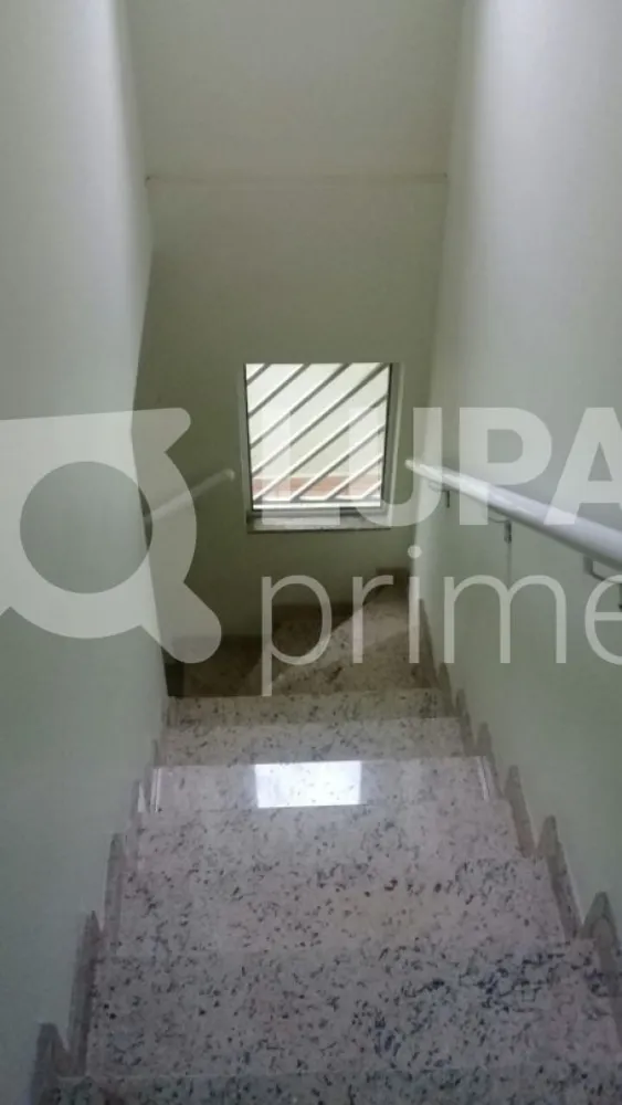 Casa, 3 quartos, 240 m² - Foto 7