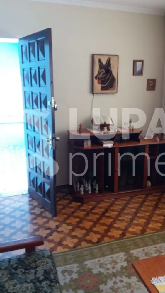 Casa, 6 quartos, 162 m² - Foto 12