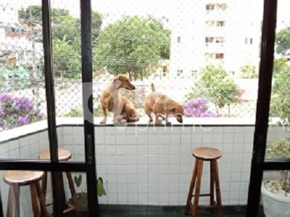 Apartamento, 3 quartos, 96 m² - Foto 10