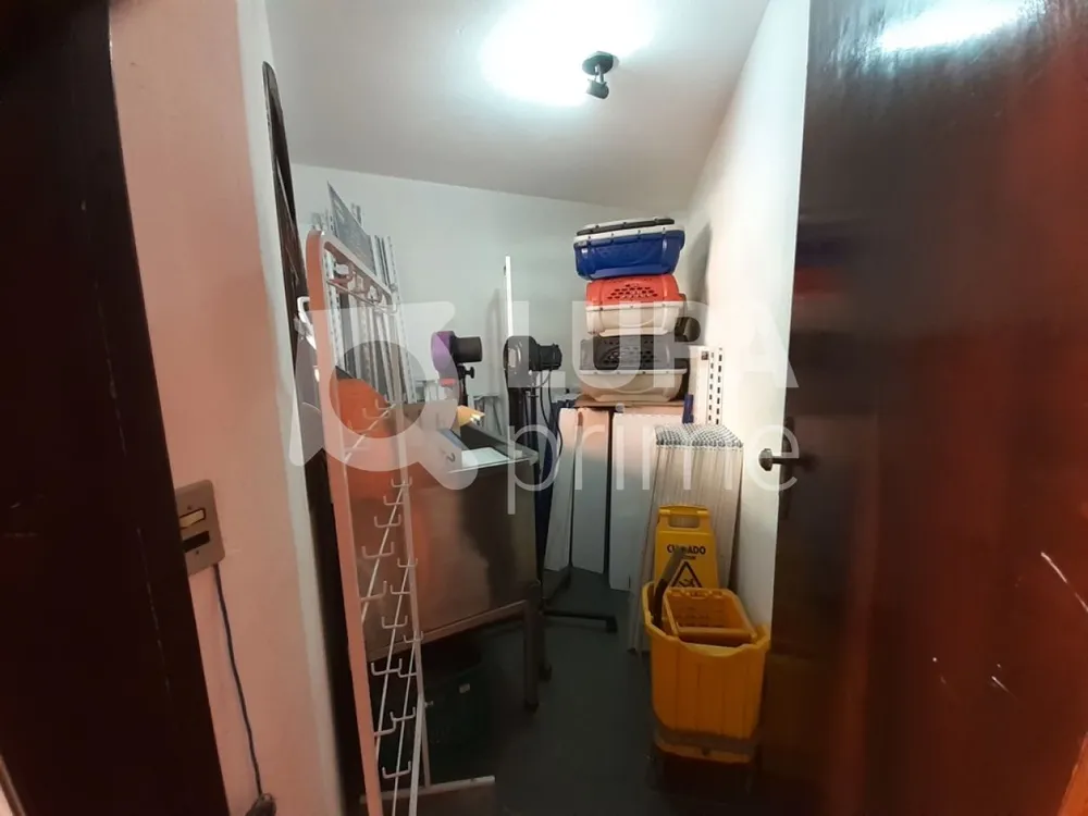 Casa, 3 quartos, 227 m² - Foto 2