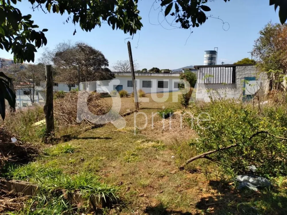 Terreno, 8000 m² - Foto 12