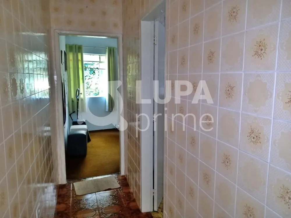 Casa, 8 quartos, 250 m² - Foto 3