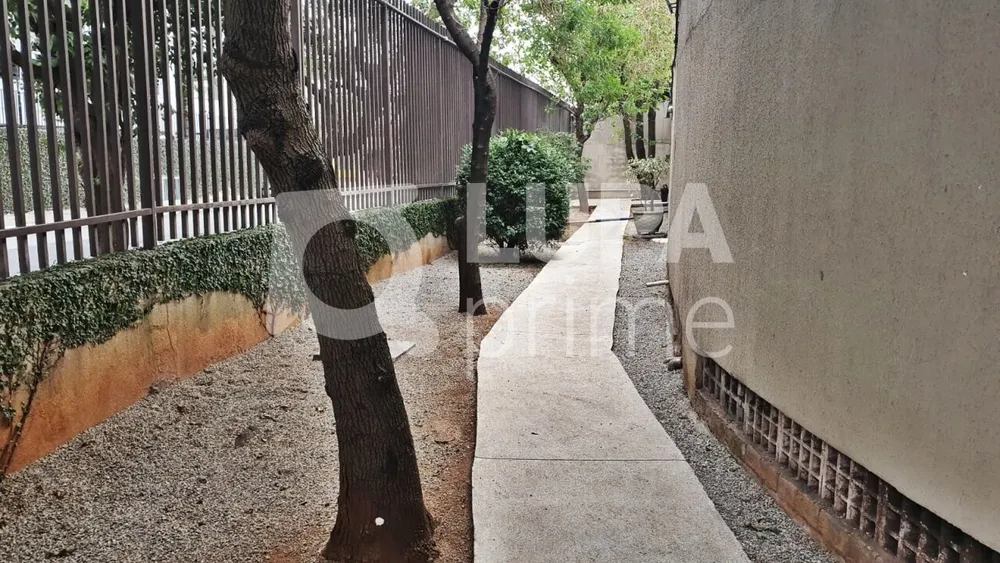 Apartamento, 3 quartos, 80 m² - Foto 5